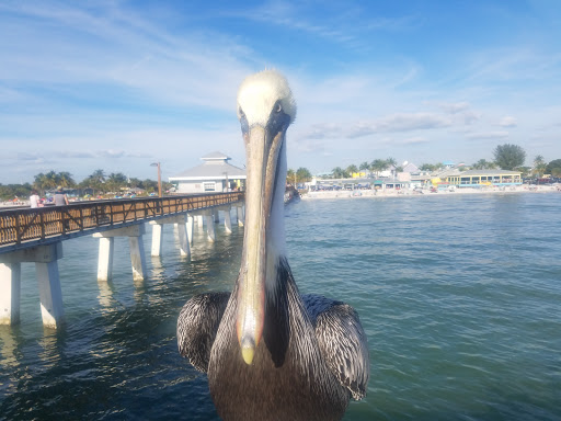 Tattoo Shop «Times Square Tattoo», reviews and photos, 959 Estero Blvd, Fort Myers Beach, FL 33931, USA