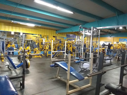 MANDRILL,S GYM