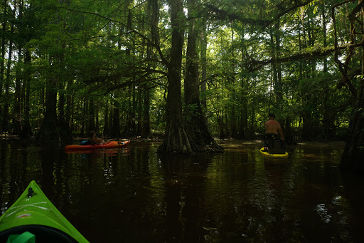Park «Leake County Water Park», reviews and photos, 1190 Park Rd, Lena, MS 39094, USA