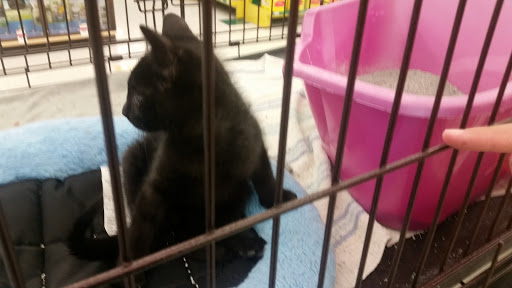 Pet Supply Store «Pet Supplies Plus», reviews and photos, 311 Sagamore Pkwy N, Lafayette, IN 47904, USA