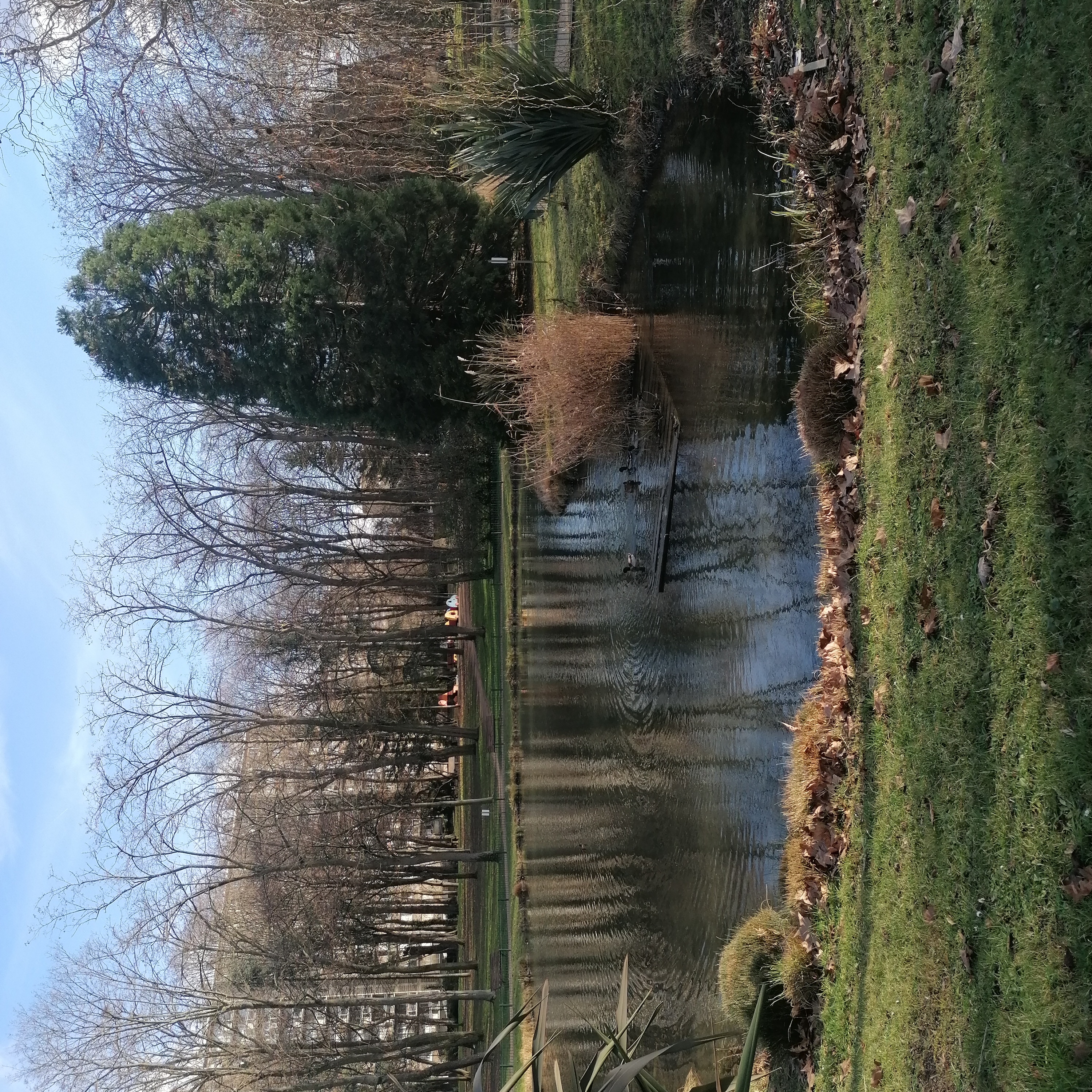 Photo n° 1 de l'avis de Paulette.e fait le 27/01/2024 à 16:04