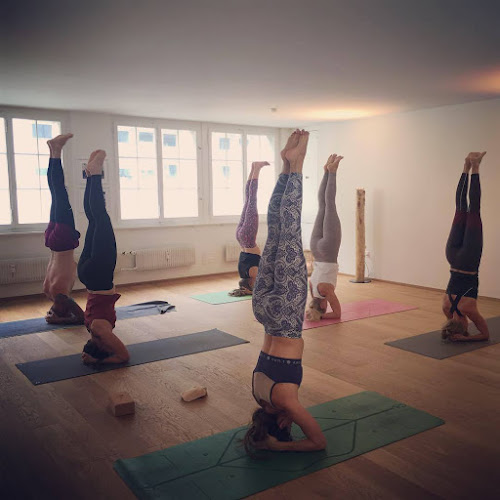 Rezensionen über Ashtanga Yoga Luzern in Luzern - Yoga-Studio