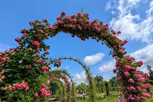 Elizabeth Park Rose Garden image