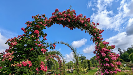 Elizabeth Park Rose Garden