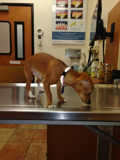 Pet Supply Store «PetSmart», reviews and photos, 40 S Abilene St, Aurora, CO 80012, USA