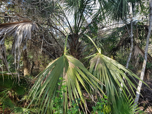 Learning Center «Oxbow Eco-Center», reviews and photos, 5400 NE St James Dr, Port St Lucie, FL 34983, USA