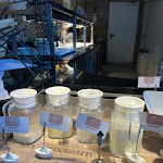 Photo n°9 de l'avis de Annegret.� fait le 21/04/2024 à 07:06 sur le  Hotel IV Jahreszeiten Zingst à Zingst