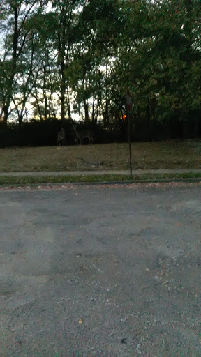 Auto Parts Store «AutoZone», reviews and photos, 2310A Lincoln Way E, Massillon, OH 44646, USA