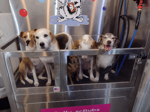 Pet Groomer «Belly scRubs Self Service Pet Wash», reviews and photos, 119 WV-34 #1, Hurricane, WV 25526, USA