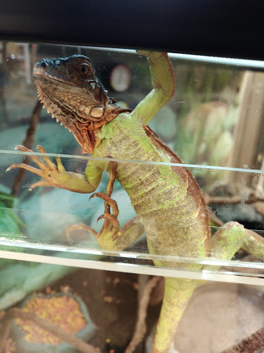 Pet Supply Store «Petco Animal Supplies», reviews and photos, 2210 N Eagle Rd, Meridian, ID 83646, USA