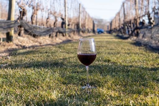 Winery «Jamesport Vineyards», reviews and photos, 1216 Main Rd, Jamesport, NY 11947, USA