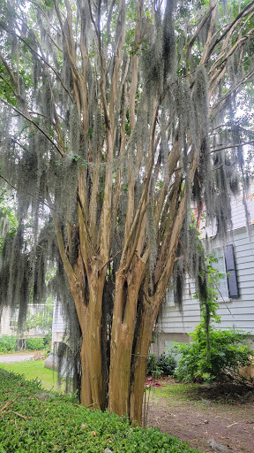 Boutique Hotel «City Loft Hotel», reviews and photos, 301 Carteret St, Beaufort, SC 29902, USA