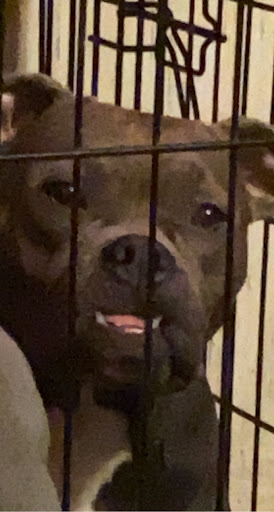 Shoe Store «Shoe Dept. Encore», reviews and photos, 12500 Winchester Rd SW, Cumberland, MD 21502, USA