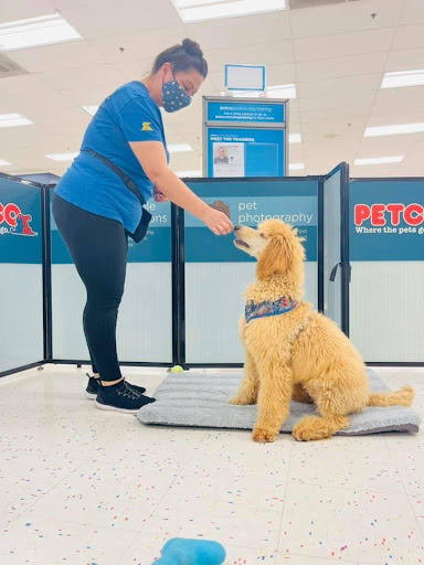 Pet Supply Store «Petco Animal Supplies», reviews and photos, 1951 N Military Trl c, West Palm Beach, FL 33409, USA