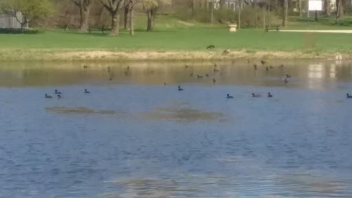 Zoo «Henry Vilas Zoo», reviews and photos, 702 S Randall Ave, Madison, WI 53715, USA