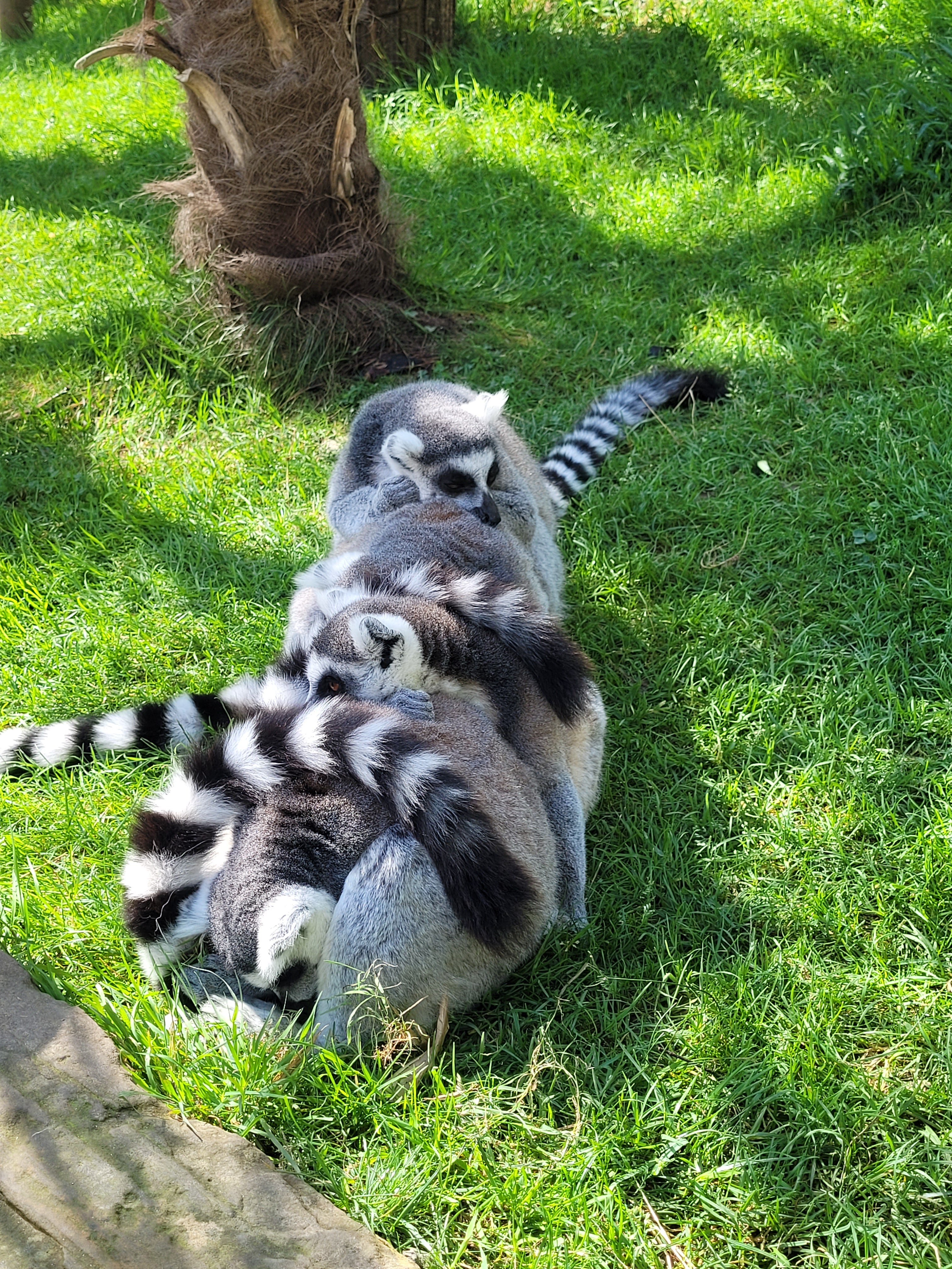 Photo n° 3 de l'avis de Margot.u fait le 19/08/2022 à 12:22