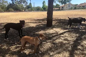 Wrigley Heights Dog Park image