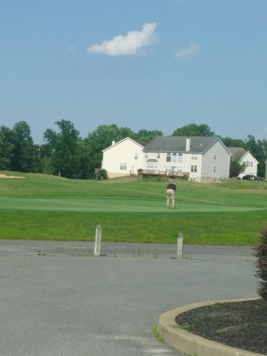 Golf Club «Frog Hollow Golf Club», reviews and photos, 1 W Wittington Way Cir, Middletown, DE 19709, USA