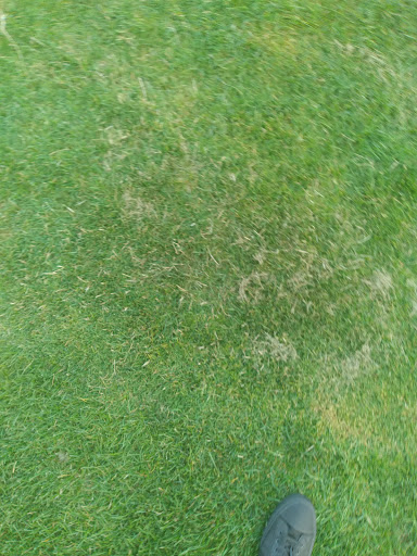 Golf Course «Northport Golf Course», reviews and photos, 79 Middleville Rd, Northport, NY 11768, USA