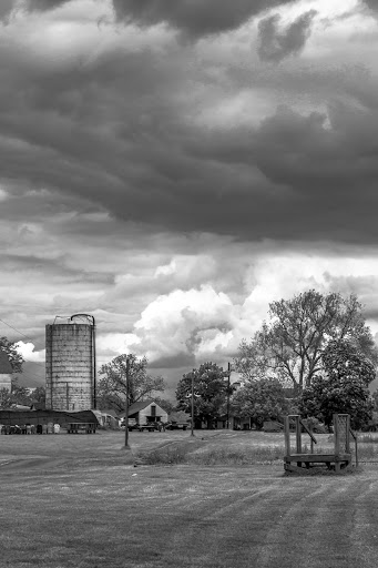 Produce Market «Solly Brothers», reviews and photos, 707 Almshouse Rd, Warminster, PA 18974, USA