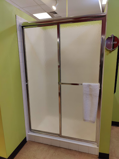 Photo of Swan Freedom