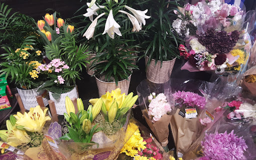 Grocery Store «Kroger», reviews and photos, 525 E Clifty Dr, Madison, IN 47250, USA