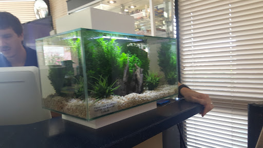 Tropical Fish Store «The True Percula», reviews and photos, 4780 Little Rd, Arlington, TX 76017, USA