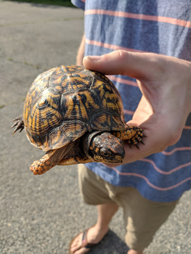 Campground «Camp Gateway - Sandy Hook», reviews and photos, 26 Hudson Rd, Highlands, NJ 07732, USA