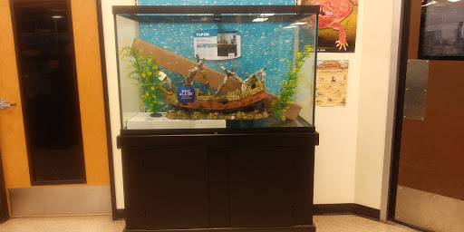 Pet Supply Store «PetSmart», reviews and photos, 5214 Blanche Moore Dr, Corpus Christi, TX 78411, USA