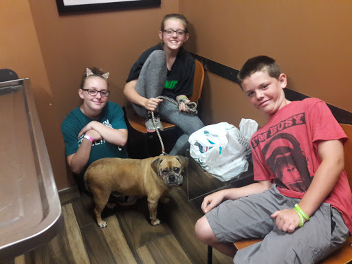 Mission Animal Hospital image