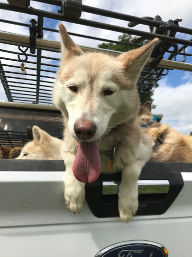 Campground «Cooperstown KOA», reviews and photos, 565 Ostrander Rd, Richfield Springs, NY 13439, USA