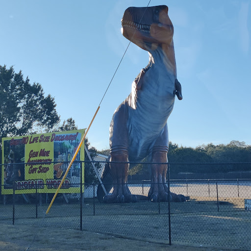 Gift Shop «Dinosaur Valley State Park Store», reviews and photos, 1629 Park Rd 59, Glen Rose, TX 76043, USA
