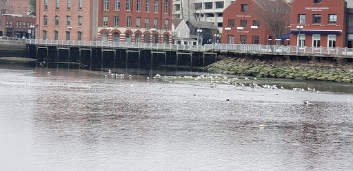 Clothing Store «Gap», reviews and photos, 125 Main St, Westport, CT 06880, USA