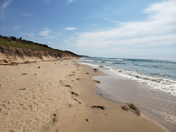 Photo of Benona Township Beach with very clean level of cleanliness