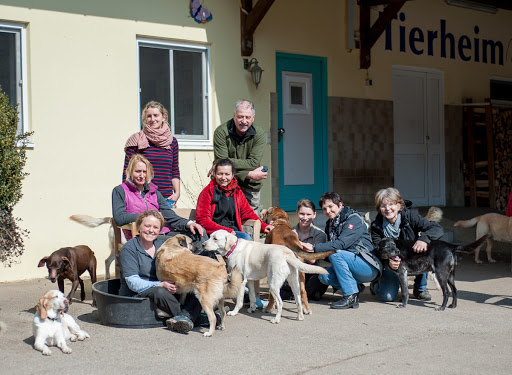 Tierschutzverein Neuburg-Schrobenhausen e. V. unter Rennertshofen, Bayern