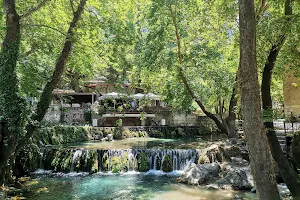 Springs of Krya image