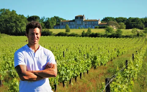 Bordeaux Wine Trails - Wine tours image