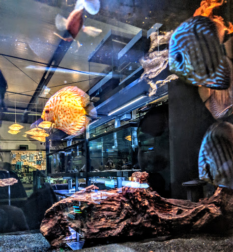 Tropical Fish Store «Arizona Nature Aquatics», reviews and photos, 3518 N Country Club Rd, Tucson, AZ 85716, USA