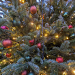 Photo n°5 de l'avis de udo.. fait le 10/12/2023 à 00:38 sur le  Astoria Hotel à Trier