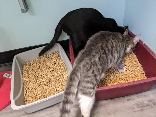 3016 Rolison Rd, Redwood City, CA 94063, USA