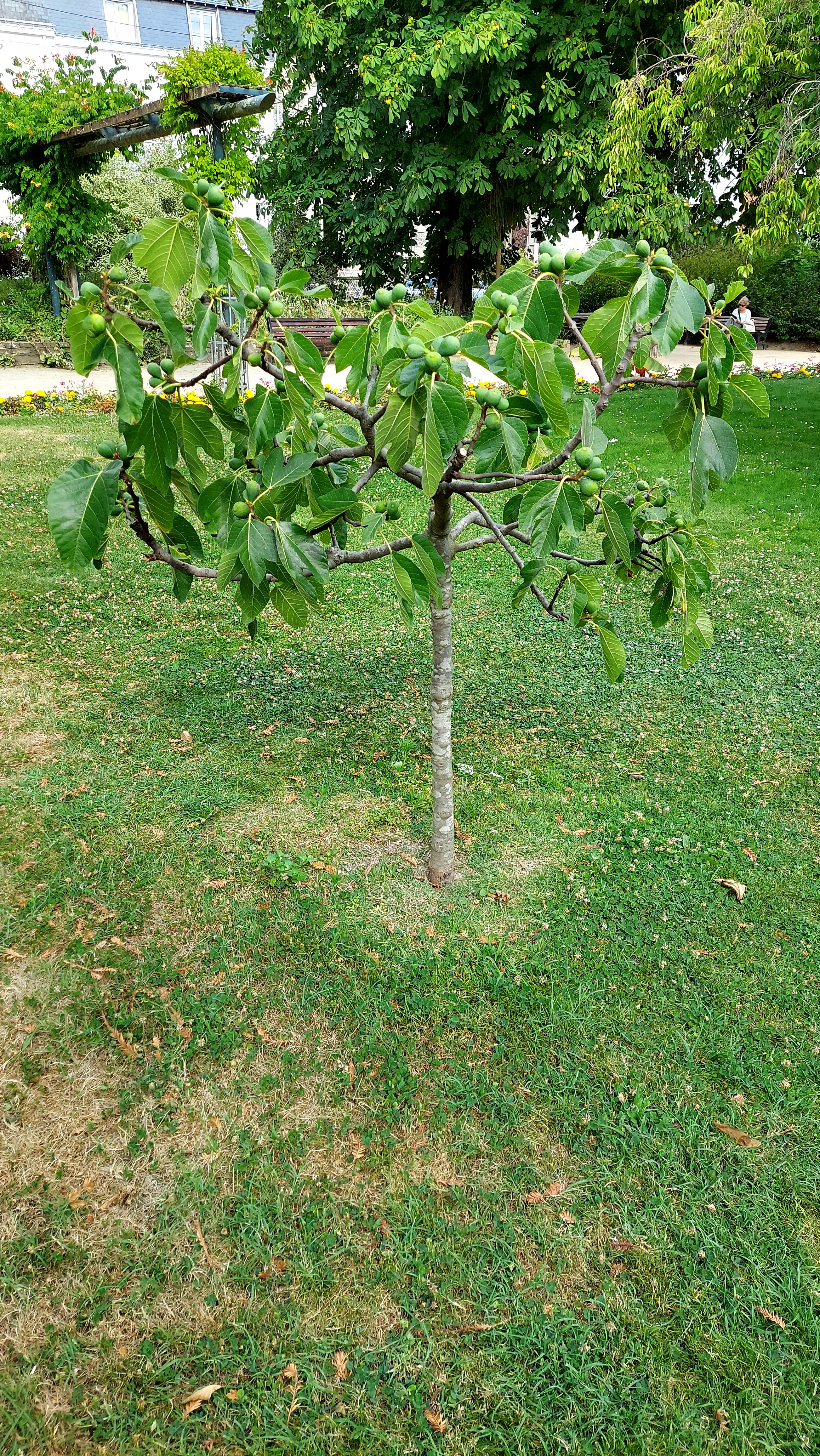 Photo n° 2 de l'avis de Aude.e fait le 23/07/2022 à 16:18