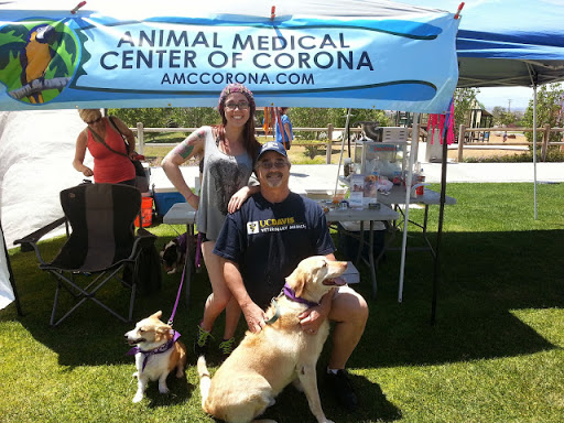 Animal Medical Center of Corona image