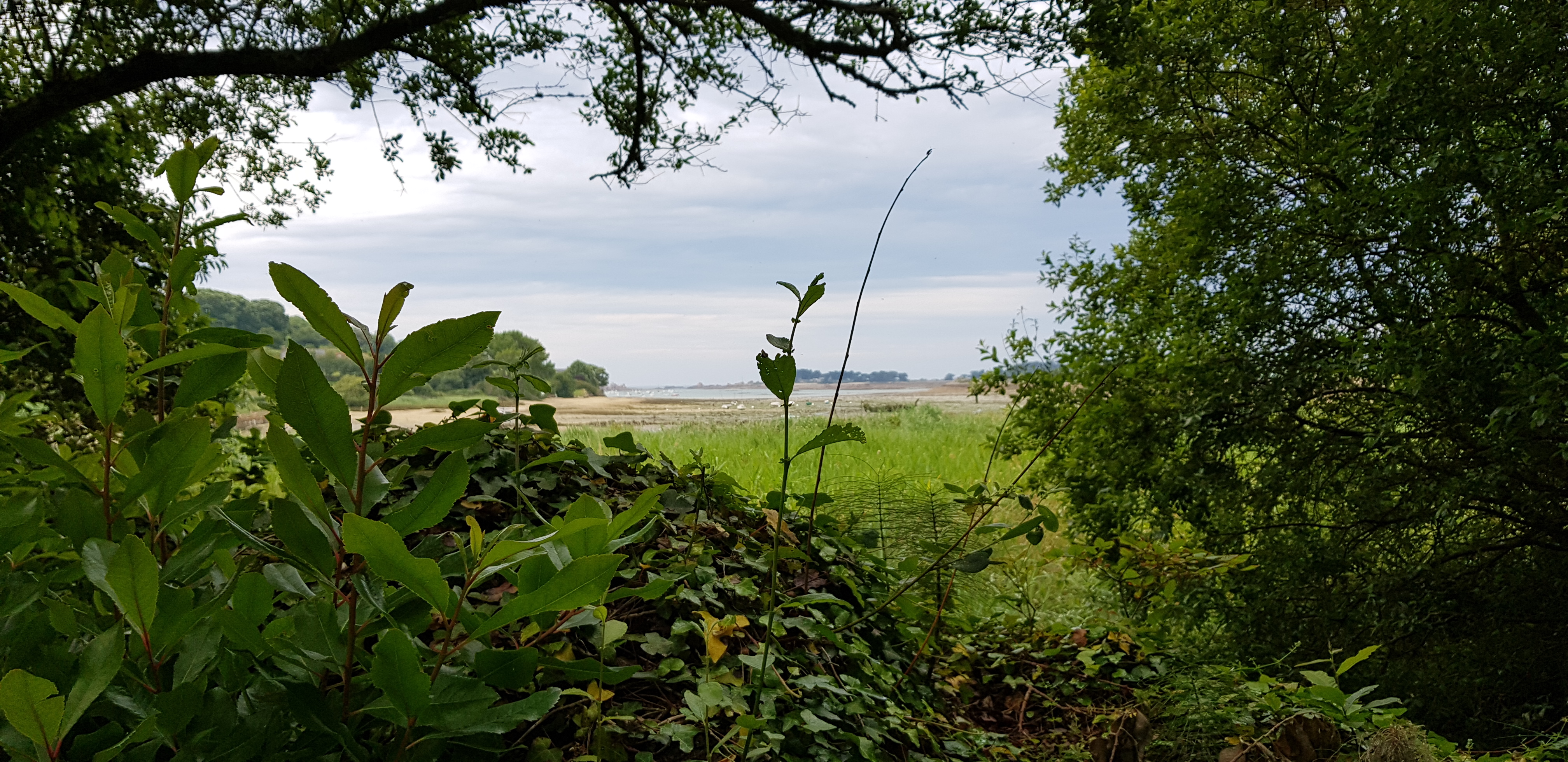 Photo n° 11 de l'avis de Ponsart.a fait le 23/06/2019 à 15:17