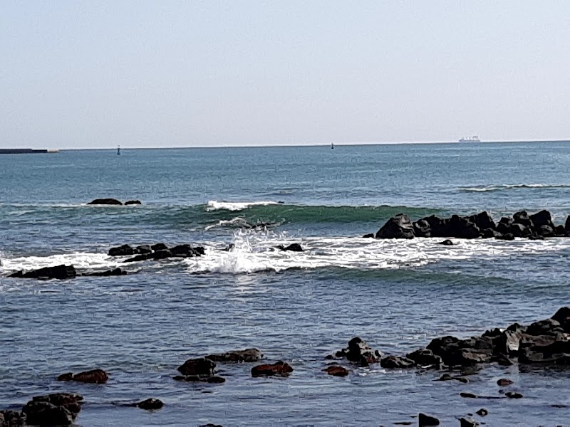 磯崎海岸 茨城県ひたちなか市 景勝地 グルコミ