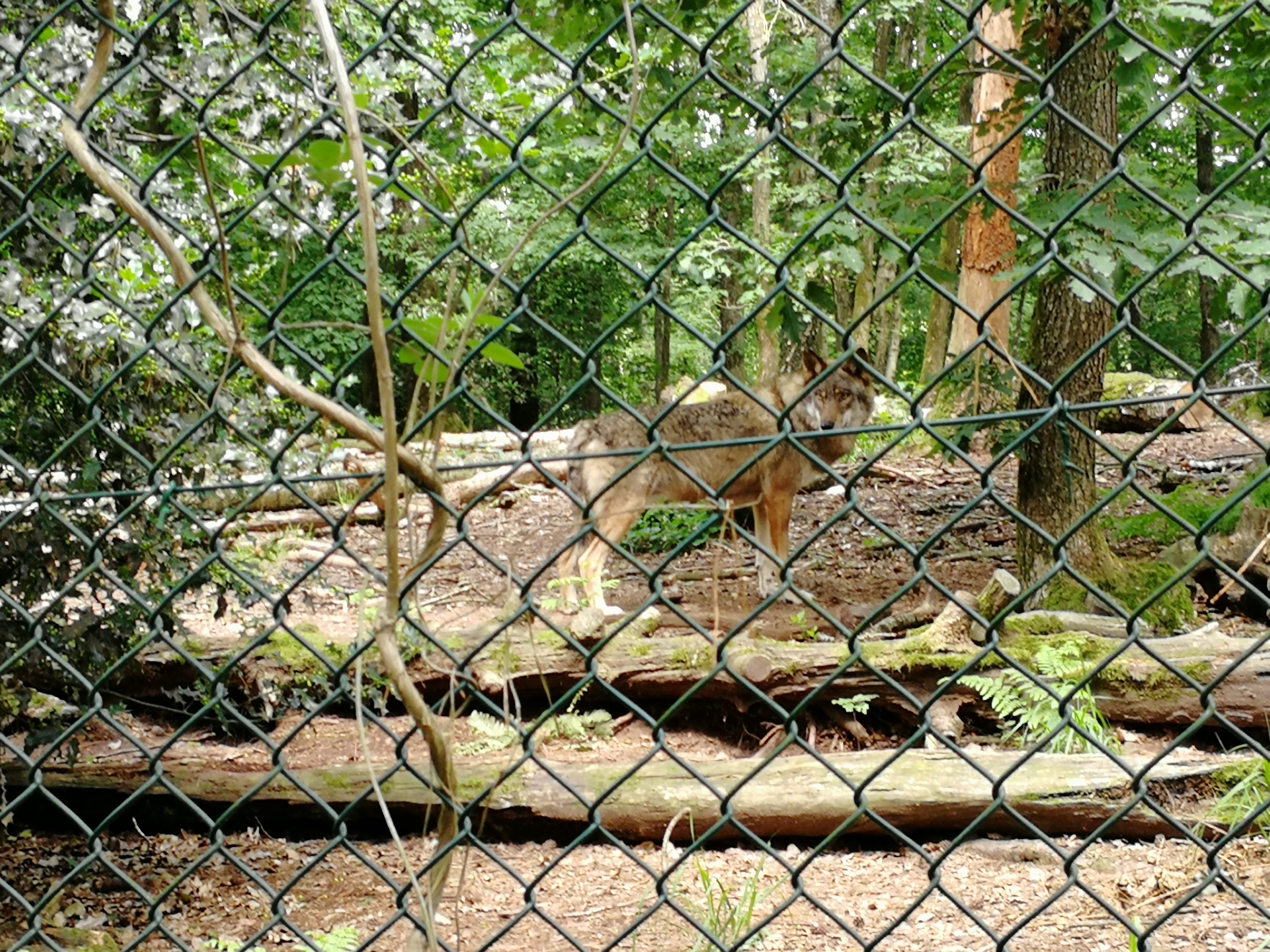 Photo n° 1 de l'avis de Mykeul. fait le 01/07/2018 à 11:57