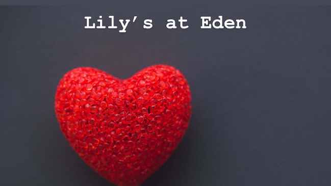 Lilys at Eden - Manchester