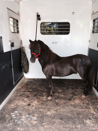 Gift Shop «Impressions of Saratoga», reviews and photos, 368 Broadway, Saratoga Springs, NY 12866, USA