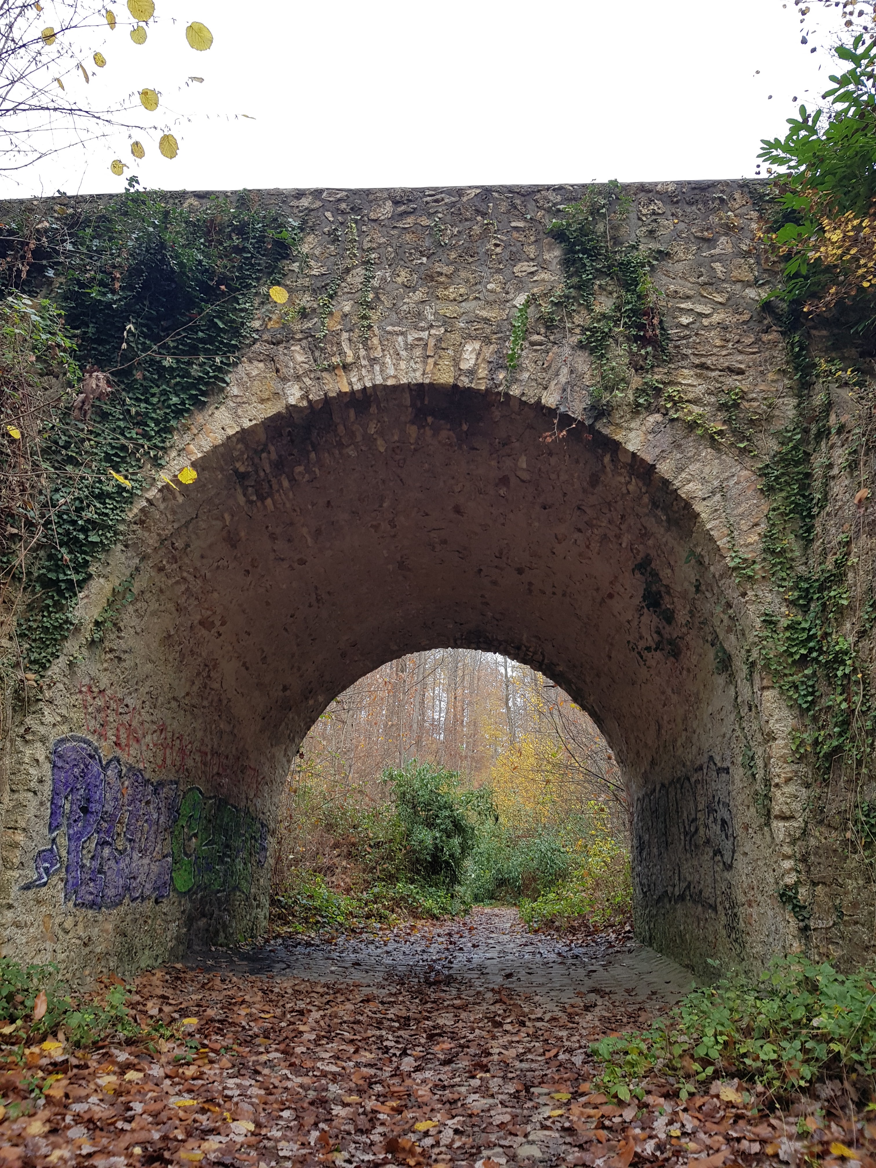 Photo n° 40 de l'avis de Brigitte.r fait le 02/11/2020 à 14:23