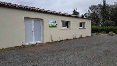 Collège alternatif Terre et crayons à Codognan