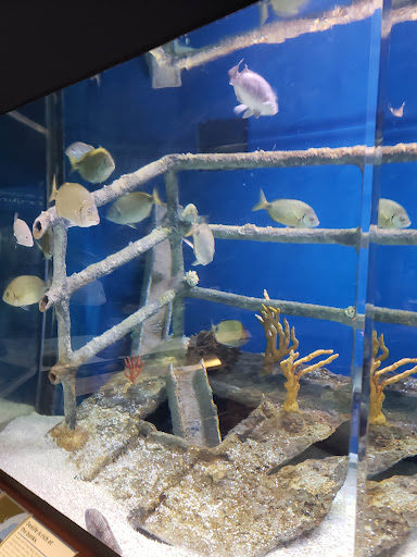 Parking Garage «SC Aquarium Garage», reviews and photos, 24 Calhoun St, Charleston, SC 29401, USA